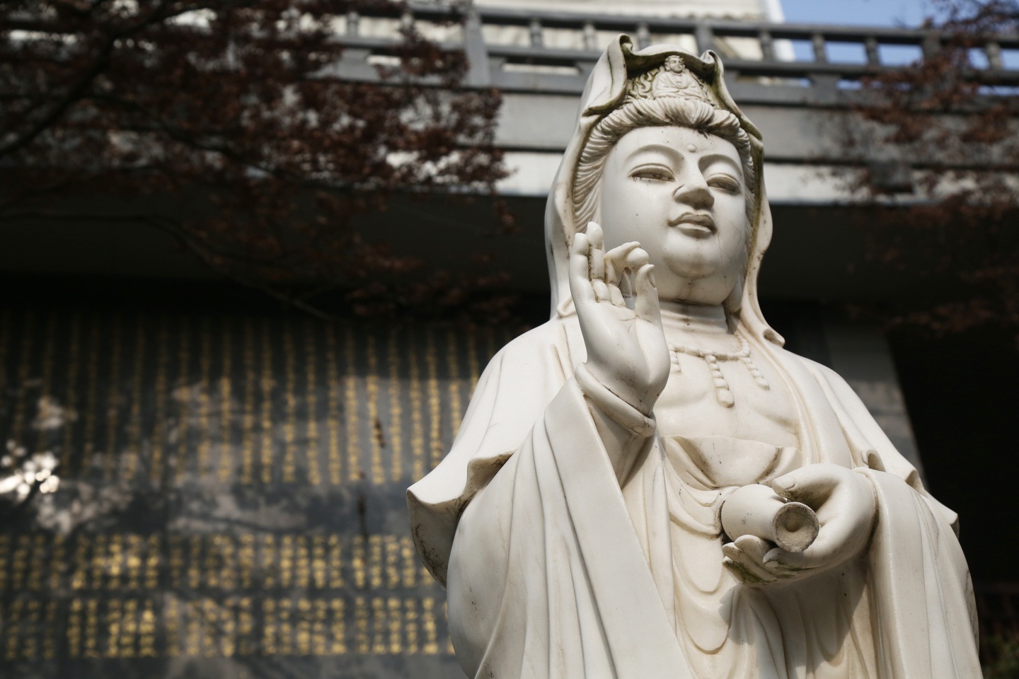 �����й����Ļ��о���Ե��